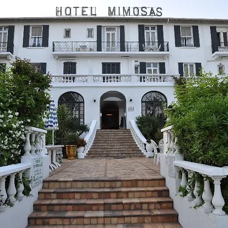 Отель Des Mimosas 3*