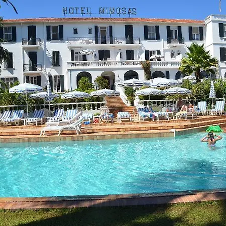 オテル デ ミモザ