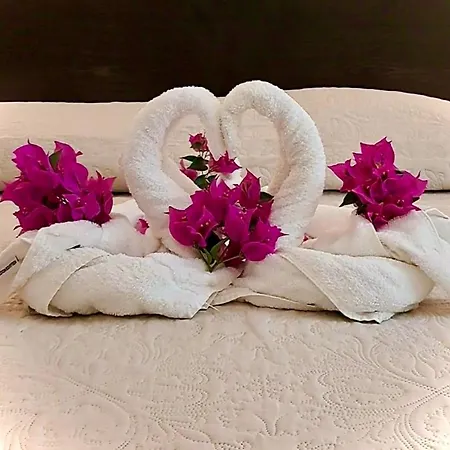 Otel Des Mimosas 3*