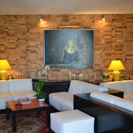 德米莫萨酒店 3* 胡安莱潘