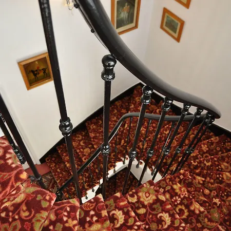 德米莫萨酒店 3* 胡安莱潘