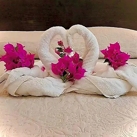 Des Mimosas 3* جوان ليه باه