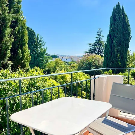 Des Mimosas Hotel 3*